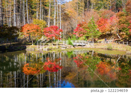せせらぎ街道・西ウレ峠の紅葉《岐阜県高山市清見町》 122234659