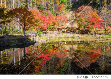 せせらぎ街道・西ウレ峠の紅葉《岐阜県高山市清見町》 せせらぎ街道・西ウレ峠の紅葉《岐阜県高山市清見町》 122234660
