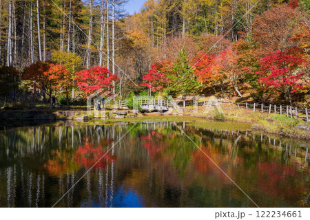 せせらぎ街道・西ウレ峠の紅葉《岐阜県高山市清見町》 122234661