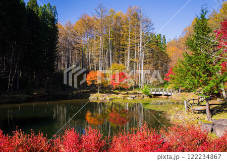 せせらぎ街道・西ウレ峠の紅葉《岐阜県高山市清見町》 122234867