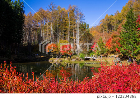 せせらぎ街道・西ウレ峠の紅葉《岐阜県高山市清見町》 せせらぎ街道・西ウレ峠の紅葉《岐阜県高山市清見町》 122234868
