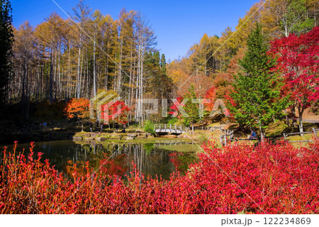 せせらぎ街道・西ウレ峠の紅葉《岐阜県高山市清見町》 122234869