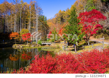 せせらぎ街道・西ウレ峠の紅葉《岐阜県高山市清見町》 せせらぎ街道・西ウレ峠の紅葉《岐阜県高山市清見町》 122234871
