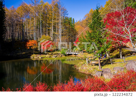 せせらぎ街道・西ウレ峠の紅葉《岐阜県高山市清見町》 せせらぎ街道・西ウレ峠の紅葉《岐阜県高山市清見町》 122234872