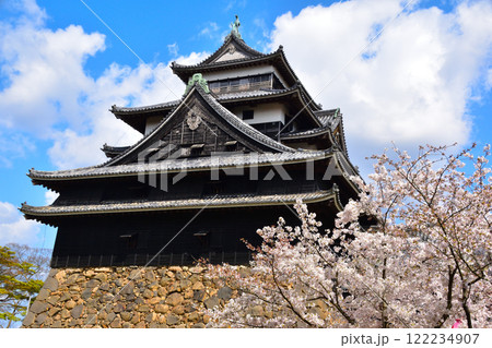桜景 松江城 桜景 松江城 122234907