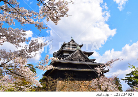 桜景 松江城 桜景 松江城 122234927