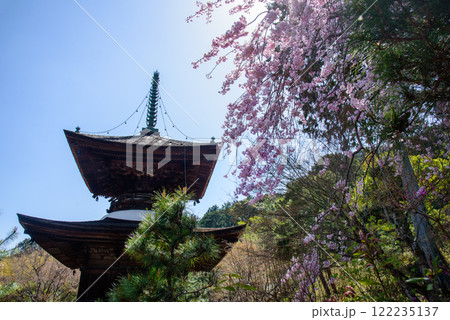 春の青空に映える満開の桜 常寂光寺 多宝塔 春の青空に映える満開の桜 常寂光寺 多宝塔 122235137