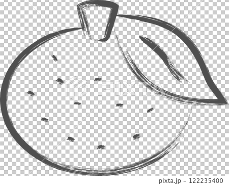 水果畫筆插畫柚子 水果畫筆插畫柚子 122235400