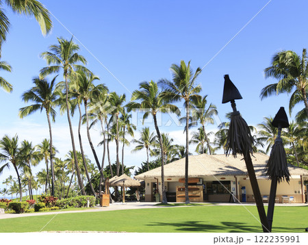 青空とヤシの木と芝生のある風景 122235991