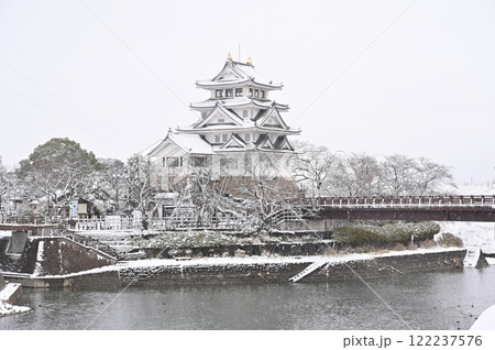 犀川と墨俣一夜城（岐阜県大垣市）の雪景色 122237576