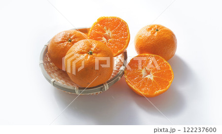 西南のひかり 西南のひかり 122237600