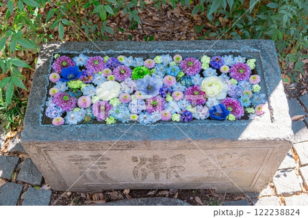 行田市 前玉神社の花手水 行田市 前玉神社の花手水 122238824