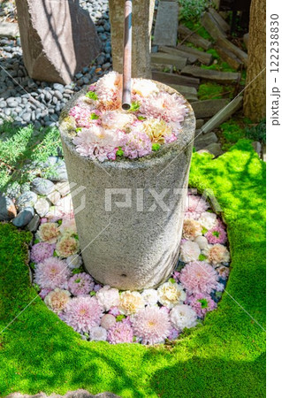 行田市 行田八幡神社の花手水 122238830