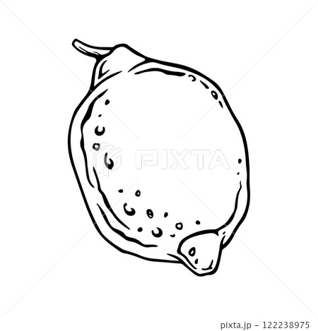 Isolated Lemon. Hand drawn vector illustration of single citrus fruit in engrave style for juice label or icon. Outline drawing of lime or citron for tableware decoration or kitchen textile design 122238975