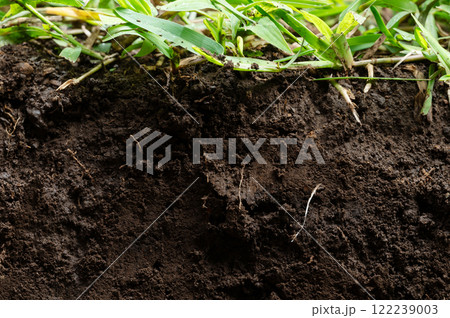 Dig cut in under soil 122239003