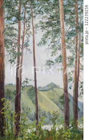 Altay pine trees, oil painting 122239256