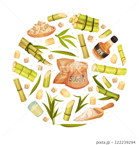 Sugar Cane Round Composition Design with Stem Plant Vector Template 122239294