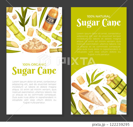 Sugar Cane Banner Design with Stem Plant Vector Template 122239295