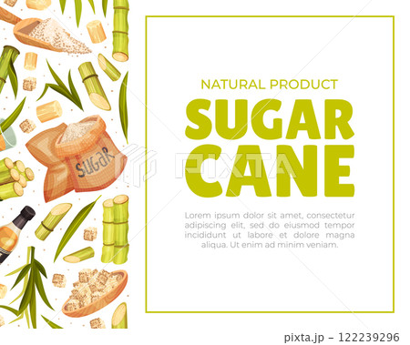 Sugar Cane Banner Design with Stem Plant Vector Template 122239296