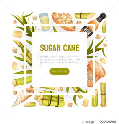 Sugar Cane Banner Design with Stem Plant Vector Template Sugar Cane Banner Design with Stem Plant Vector Template 122239298