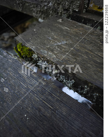 Moss growing on wooden planks in chamonix, france 122239868