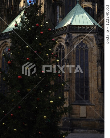 Christmas tree standing tall in front of st. Vitus cathedral in prague Christmas tree standing tall in front of st. Vitus cathedral in prague 122240053