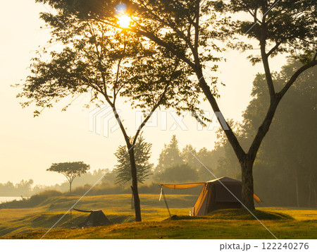 Shadows of towering trees standing in a meadow by the lake and a tent at a beautiful early morning. 122240276
