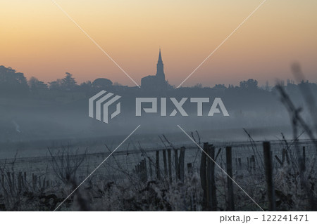 Vineyard landscape in Tabanac, Gironde, at sunrise with winter fog creating warm orange hues Vineyard landscape in Tabanac, Gironde, at sunrise with winter fog creating warm orange hues 122241471