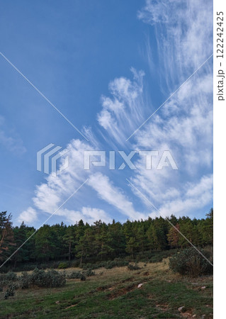 Picturesque clouds feathers beautiful sky and nature 122242425