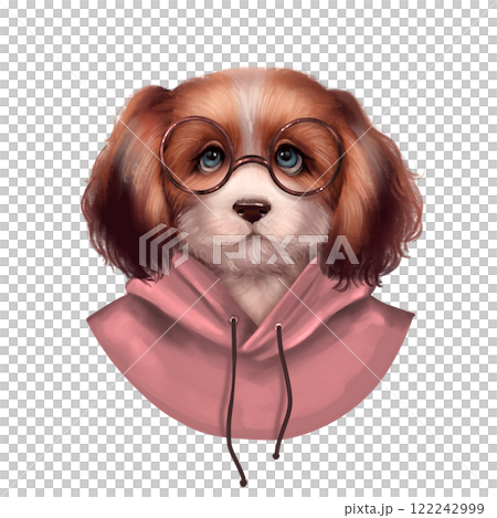 Cute dog illustration. Puppy in a pink hoody and glasses. 122242999