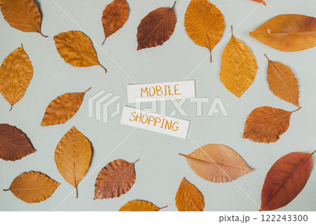 Collection of autumn leaves with the words mobile shopping written on them 122243300