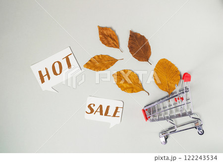 Shopping cart with leaves on it and the words hot sale written below it 122243534