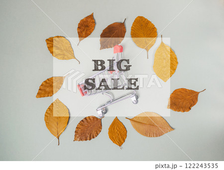 Shopping cart is surrounded by leaves Shopping cart is surrounded by leaves 122243535