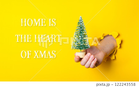 Hand holding a small Christmas tree in front of a yellow background 122243558