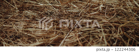 Banner hay texture. Close-up of a heap of golden yellow hay. 122244306