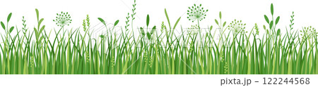 Flowers and grass border, meadow flowers and green grass, vector illustration, card decoration element 122244568