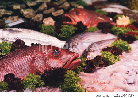 Red snapper and other fresh seafood in a market stall Red snapper and other fresh seafood in a market stall 122244737