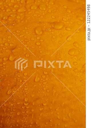 orange pumpkin wet in water close up orange pumpkin wet in water close up 122245498