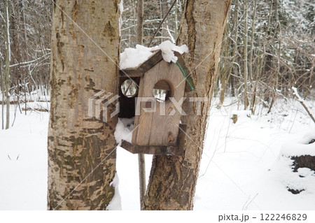 Hanging homemade feeder or platform for feeding birds and squirrels in winter and spring during hungry times. Feeders for birds and squirrels in a forest or city park. Hanging homemade feeder or platform for feeding birds and squirrels in winter and spring during hungry times. Feeders for birds and squirrels in a forest or city park. 122246829