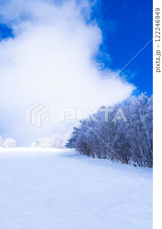 【ゲレンデ素材】白銀のゲレンデと青空【長野県】 122246949