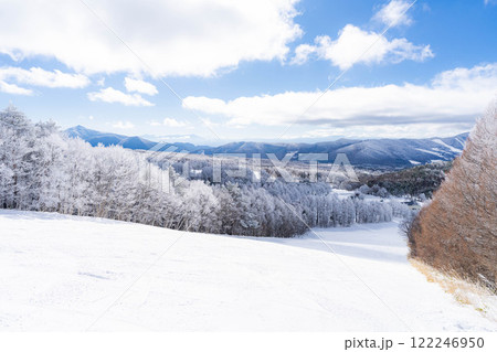 【ゲレンデ素材】白銀のゲレンデと青空【長野県】 122246950