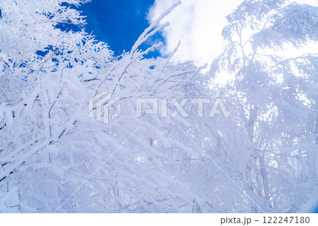 【冬素材】白銀の霧氷の風景【長野県】 122247180