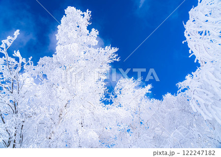 【冬素材】白銀の霧氷の風景【長野県】 122247182