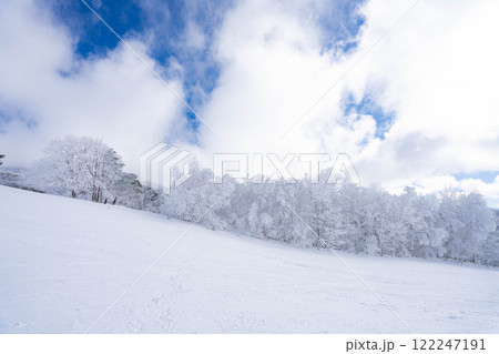【冬素材】白銀の霧氷の風景【長野県】 122247191