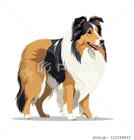 飾り毛がお洒落なラフコリーの全身イラスト 122248632