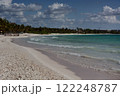 Caribbean coast with palm trees 122248787