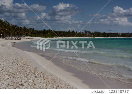 Caribbean coast with palm trees Caribbean coast with palm trees 122248787