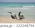 Big Pelican flies over the sea against a blue sky. 122248794