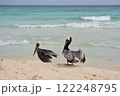 Big Pelican flies over the sea against a blue sky. 122248795