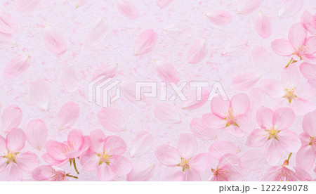 和紙と桜 122249078